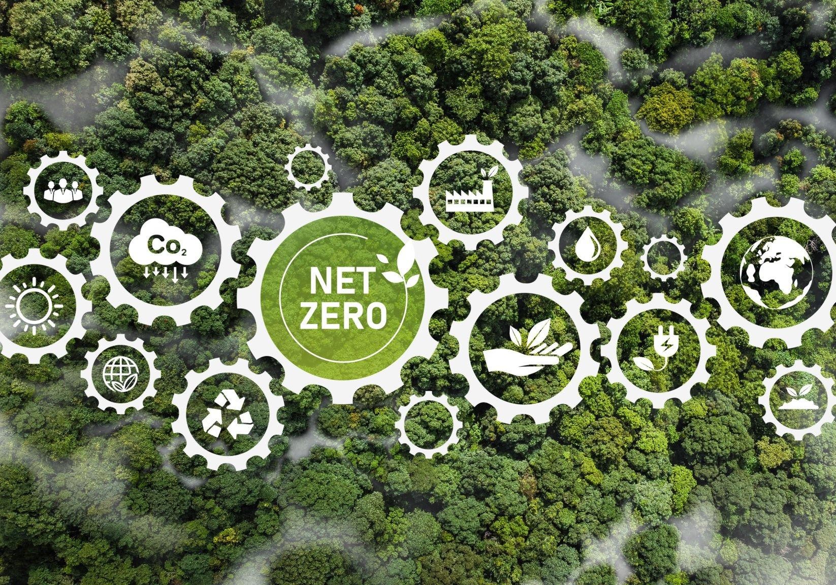 Testimonials